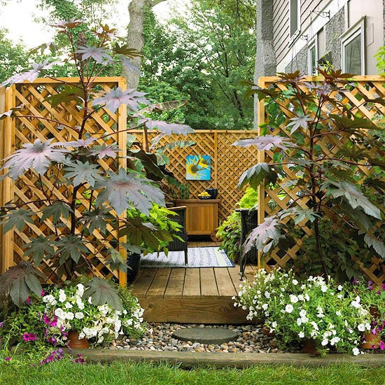 Create Privacy In Backyard
 Dr Dan s Garden Tips Landscaping for Privacy
