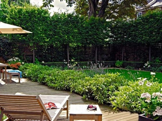 Create Privacy In Backyard
 Landscaping Ideas For Small Backyard Privacy Garden Design