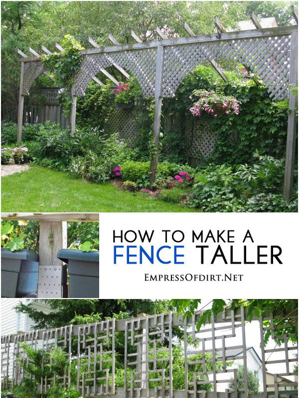 Create Privacy In Backyard
 How to Make a Fence Taller