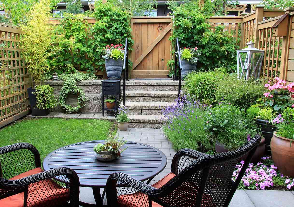 Create Privacy In Backyard
 5 Ways to Create a Private Patio