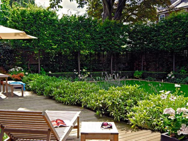 Create Privacy In Backyard
 Natural Landscape Design