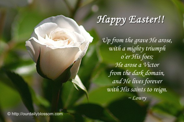 Easter Scripture Quotes
 Happy Easter Quotes Bible Verses QuotesGram