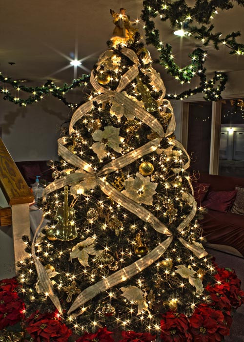 Elegant Christmas Tree Decorating Ideas
 Christmas Tree Decorations 2018 Christmas Celebration
