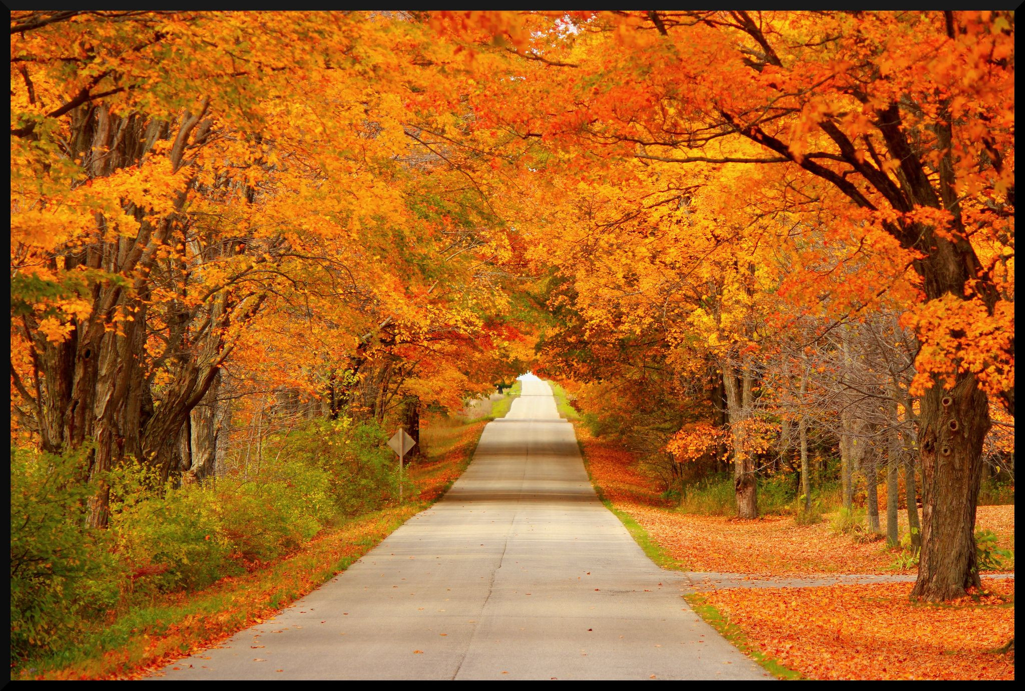 Fall Activities In Wisconsin
 Near Whitefish Dunes WI Check out Autumn Colors on the