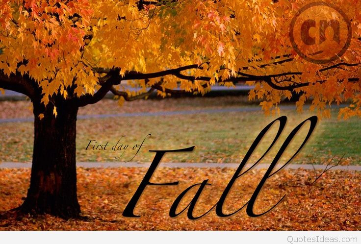First Day Of Fall Quotes
 60 Beautiful First Day Fall Wishes And s