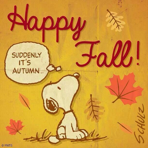 First Day Of Fall Quotes
 Happy First Day Fall Quotes QuotesGram