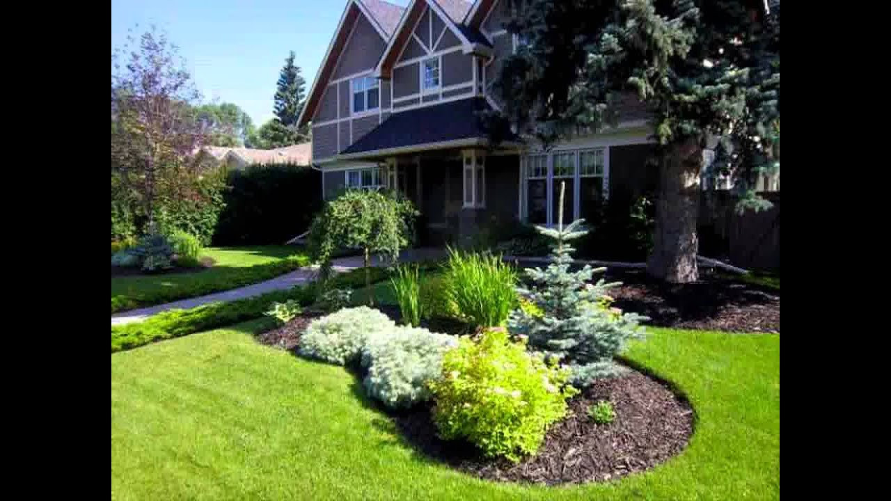 Front Yard Landscape Design
 Small Home trees for front garden ideas