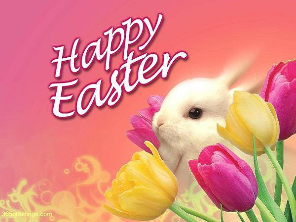 Funny Easter Quotes And Sayings
 Romantic Quotes Ghazal Sms Sad Friends Poem Sad Sms Funny