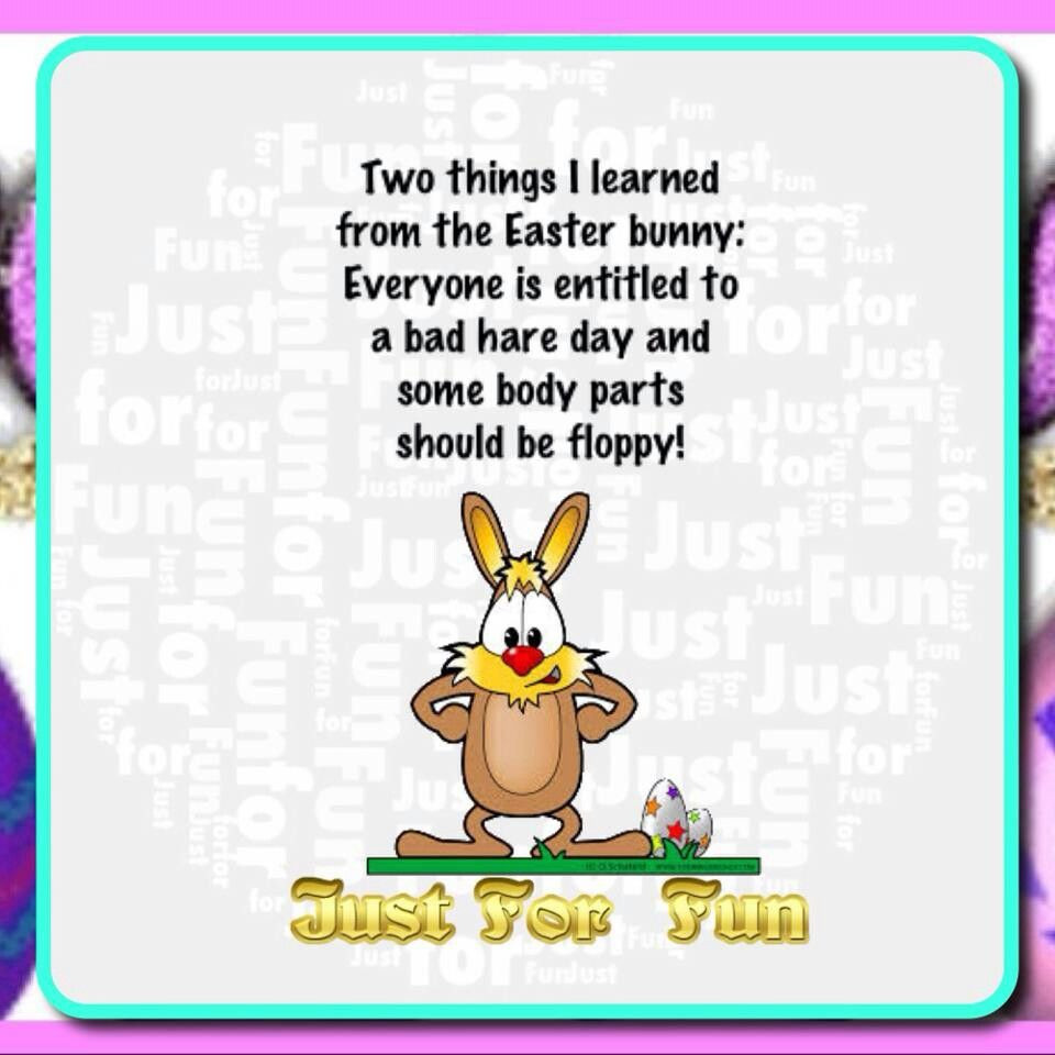 Funny Easter Quotes And Sayings
 Funny Easter Quotes Inspirational QuotesGram