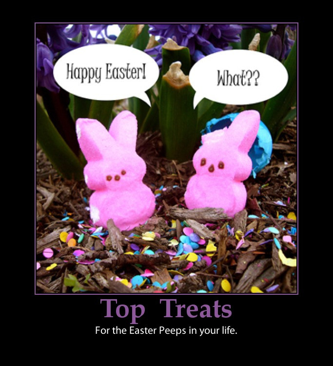 Funny Easter Quotes And Sayings
 Funny Quotes about Easter