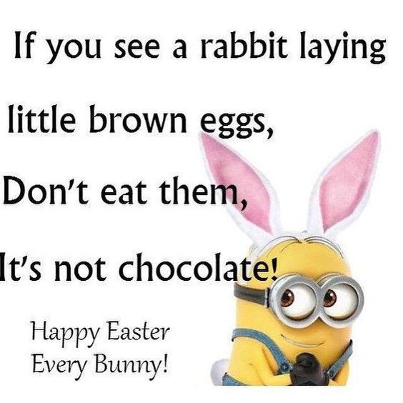 Funny Easter Quotes And Sayings
 20 Funny Easter Quotes