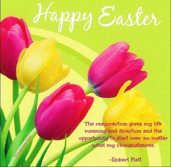 Funny Easter Quotes And Sayings
 Cute Easter Quotes QuotesGram