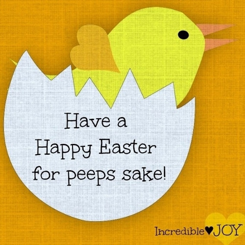Funny Easter Quotes And Sayings
 Pinterest Funny Easter Quotes QuotesGram
