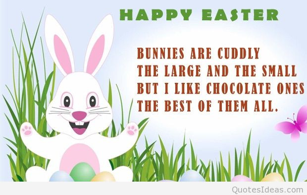 Funny Easter Quotes And Sayings
 Easter Bunny Quotes QuotesGram