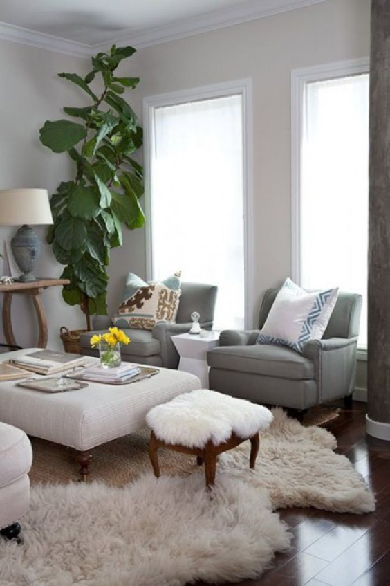 Furry Rugs For Living Room
 Warm up Your Winter With Fur and Fluff
