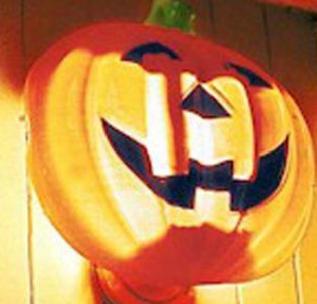 Halloween Porch Light Covers
 Halloween Holiday Plastic Pumpkin Porch Light Cover