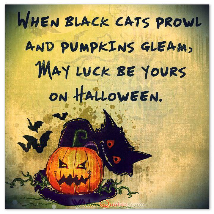 Halloween Quotes Funny
 40 Funny Halloween Quotes Scary Messages and Free Cards
