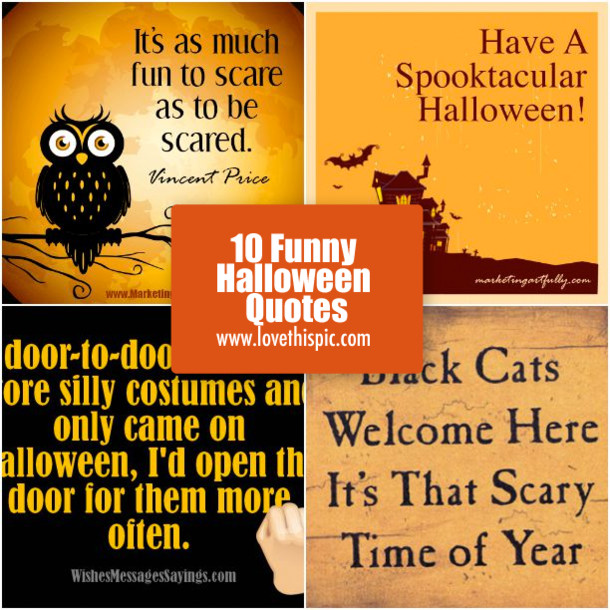 Halloween Quotes Funny
 10 Funny Halloween Quotes
