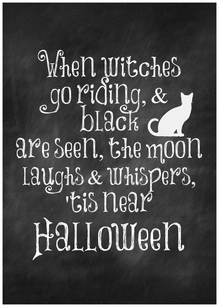 Halloween Quotes Funny
 Happy Halloween Quotes funny Halloween quotes