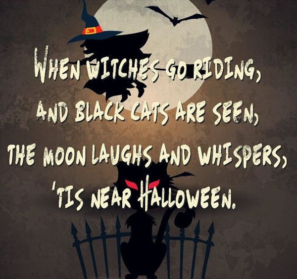 Halloween Quotes Funny
 Popular Teen Quotes QuotesGram