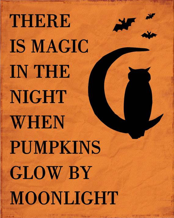 Halloween Quotes Funny
 Happy Halloween Funny Quotes QuotesGram
