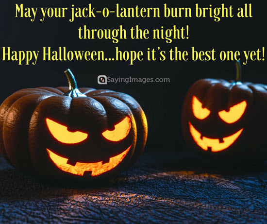 Halloween Quotes Funny
 Best Halloween Quotes and Sayings Cards