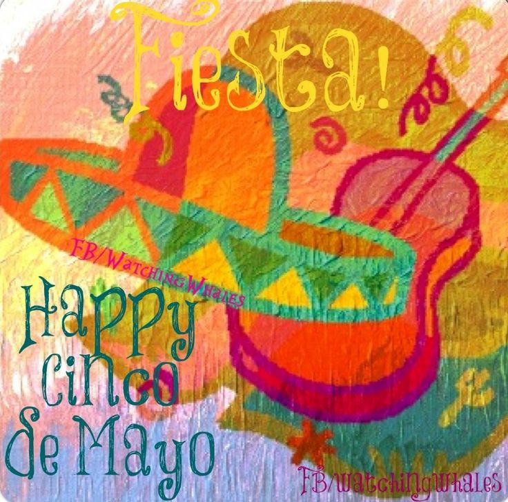 Happy Cinco De Mayo Quotes
 Happy Cinco de mayo