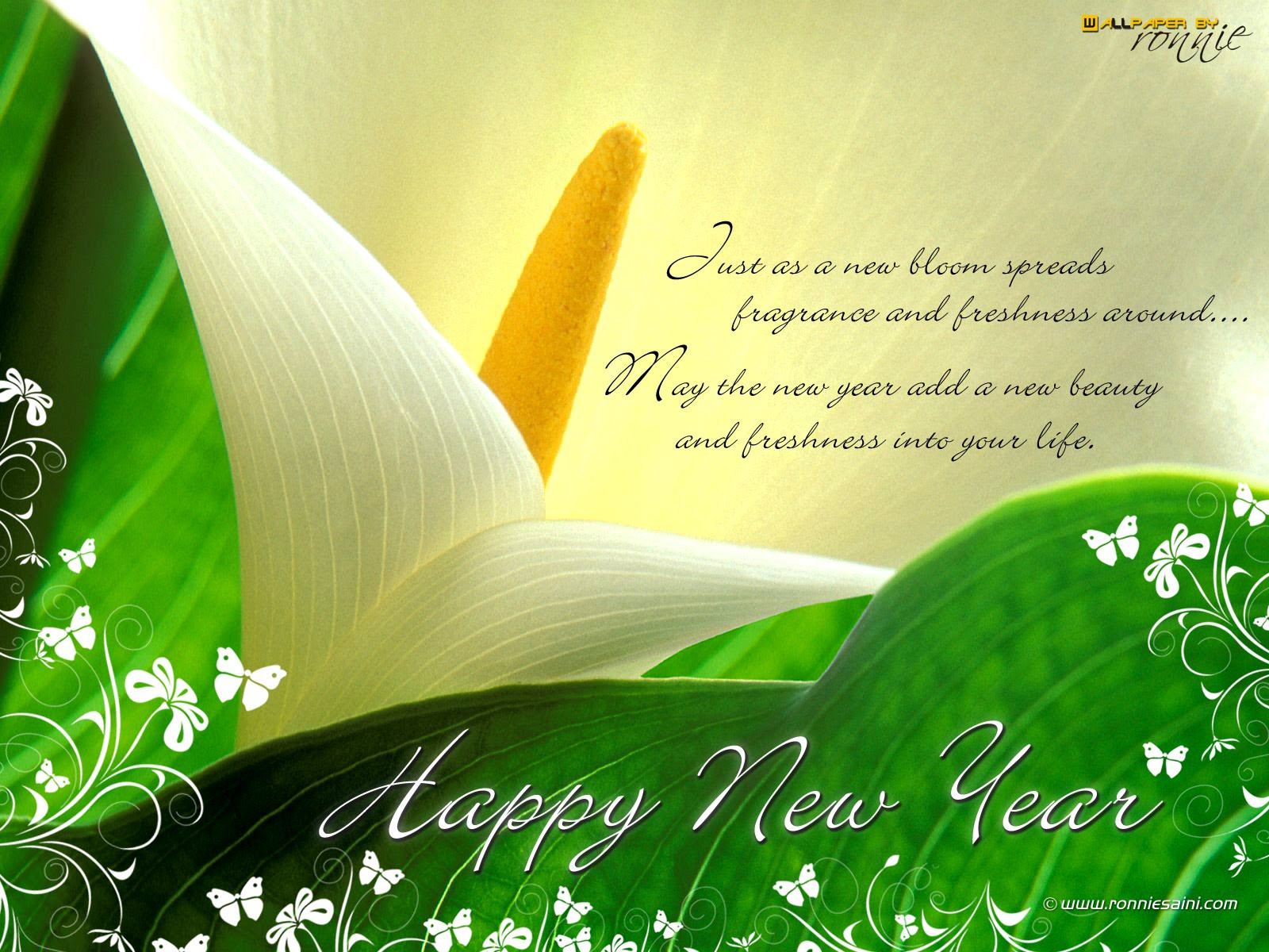 Happy New Year Wishes Quotes
 Best New Year Greetings Quotes QuotesGram