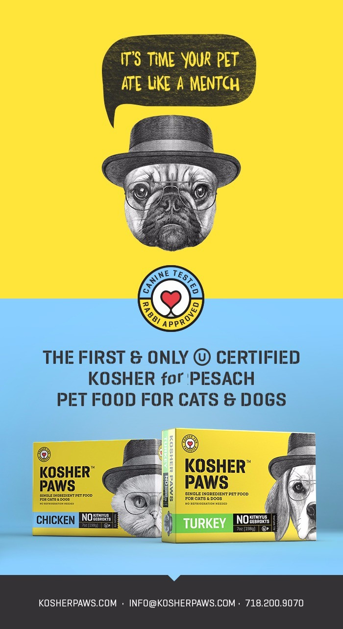 Best 24 Kosher for Passover Cat Food Home, Family, Style and Art Ideas