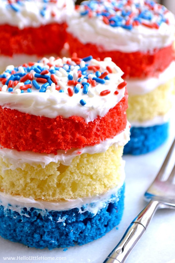 Labor Day Desserts Ideas
 23 Perfect Labor Day Party Ideas Pretty My Party