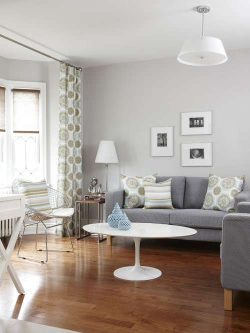 Light Grey Couch Living Room
 Light Grey Living Room Home Design Ideas