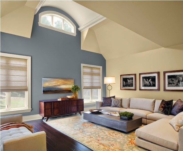 Living Room Paint Color Idea
 Paint Color Ideas for Living Room Accent Wall