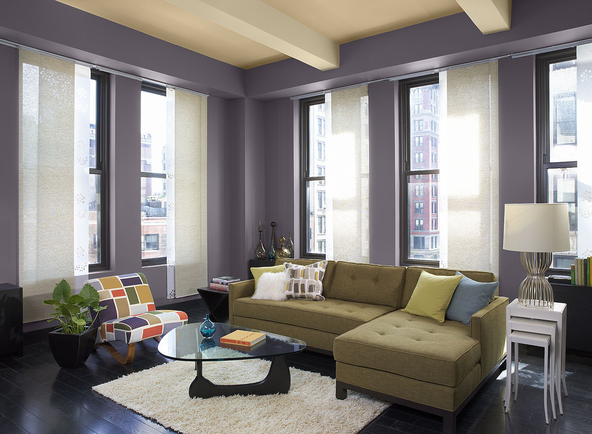 Living Room Paint Color Idea
 Paint Ideas for Living Room with Narrow Space TheyDesign