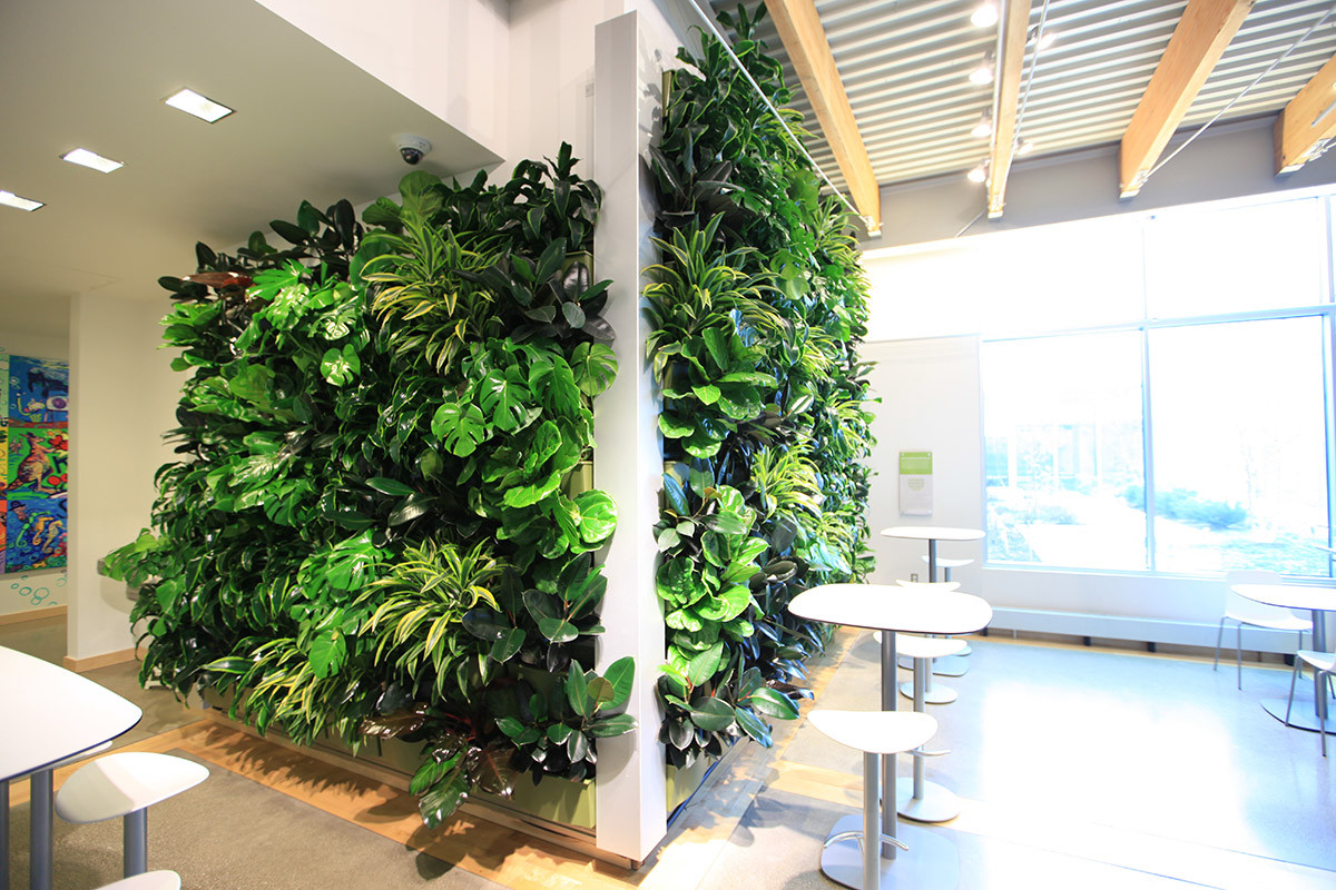 Living Wall Indoor
 Indoor Living Wall Systems