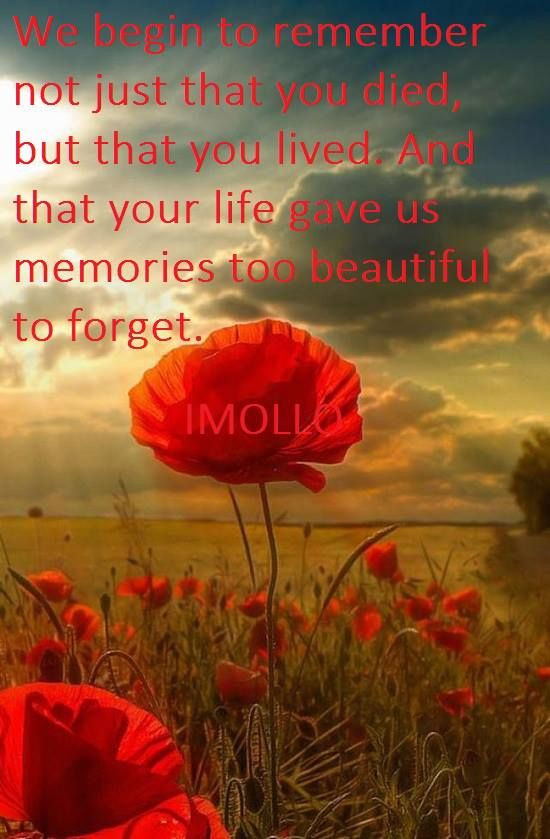 Memorial Day Quotes For Loved Ones
 A Remembrance In Memory Quotes To Brother QuotesGram