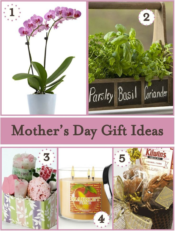 Mother's Day Gifts Ideas
 The top 30 Ideas About Perfect Mother s Day Gift Ideas