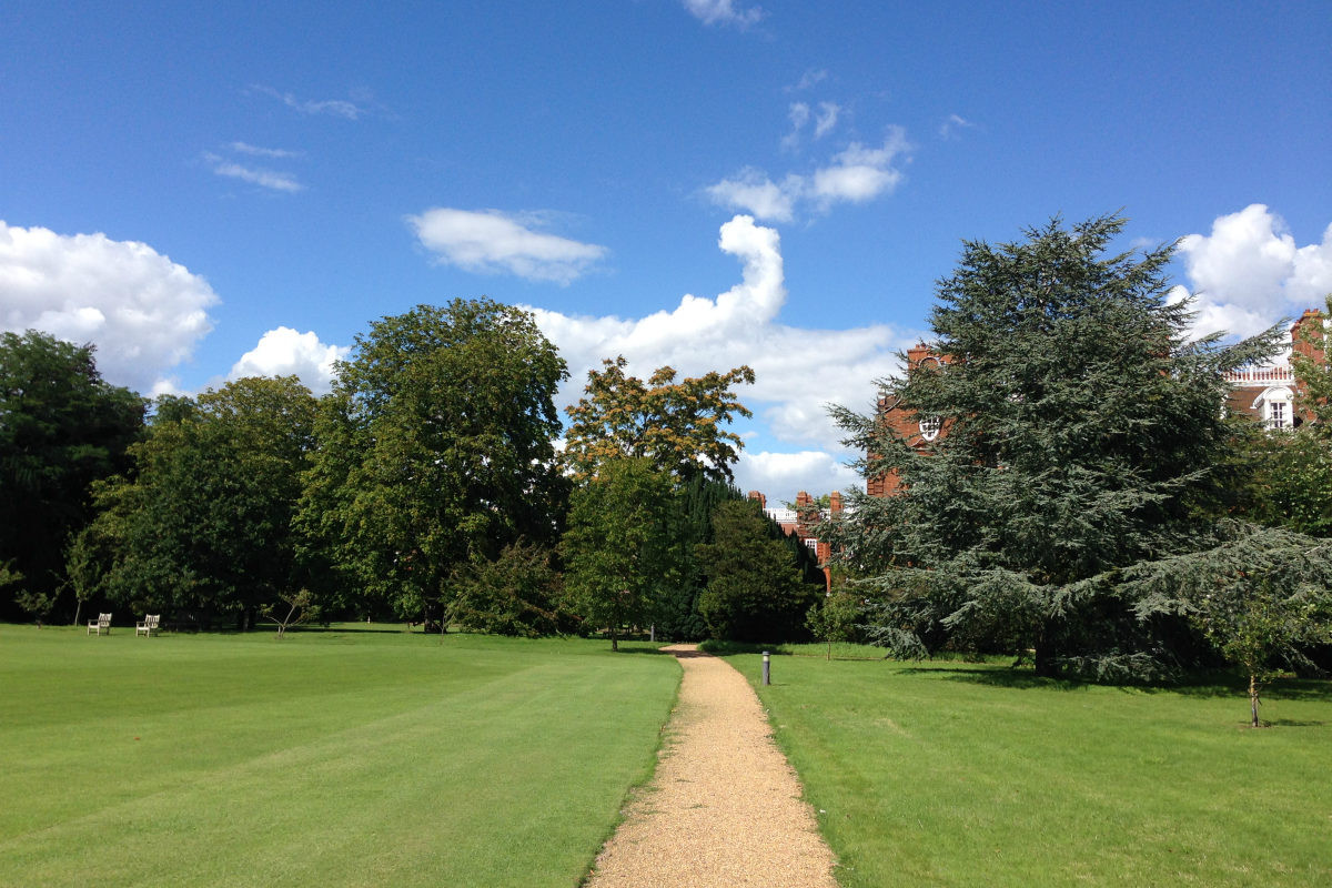 Outdoor Landscape Trees
 Tour of the Gardens – Newnham College