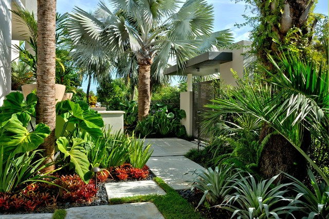 Outdoor Landscape Tropical
 Jones Residence Tropical Garden Miami by Craig