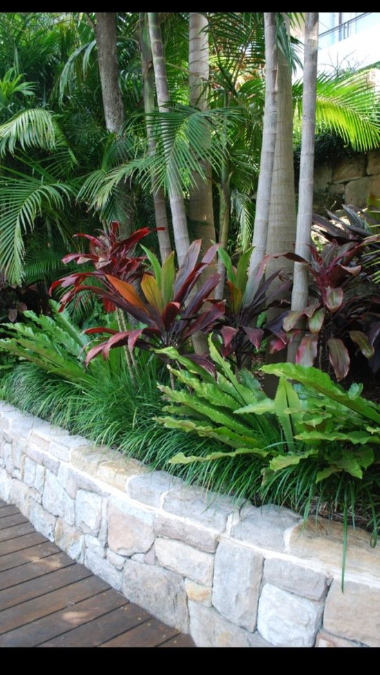 Outdoor Landscape Tropical
 Tropical Garden Inspiration via Google search "tropical