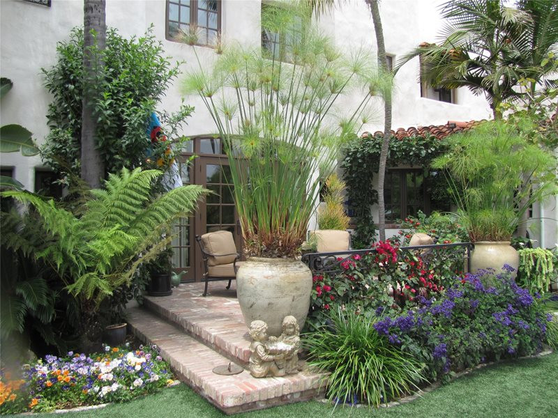 Outdoor Landscape Tropical
 Tropical Landscaping Calimesa CA Gallery