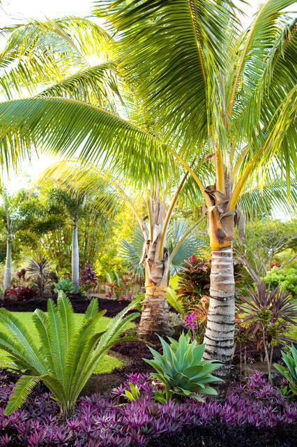 Outdoor Landscape Tropical
 LOTUS RIDGE Tropical Landscape hawaii by