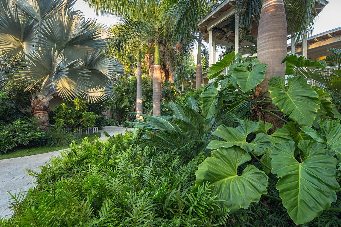 Outdoor Landscape Tropical
 Ocean House Resort Islamorada FL Craig Reynolds