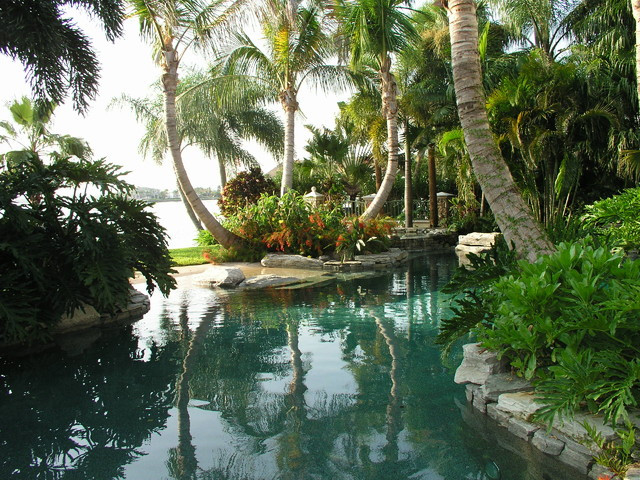 Outdoor Landscape Tropical
 Pool Design