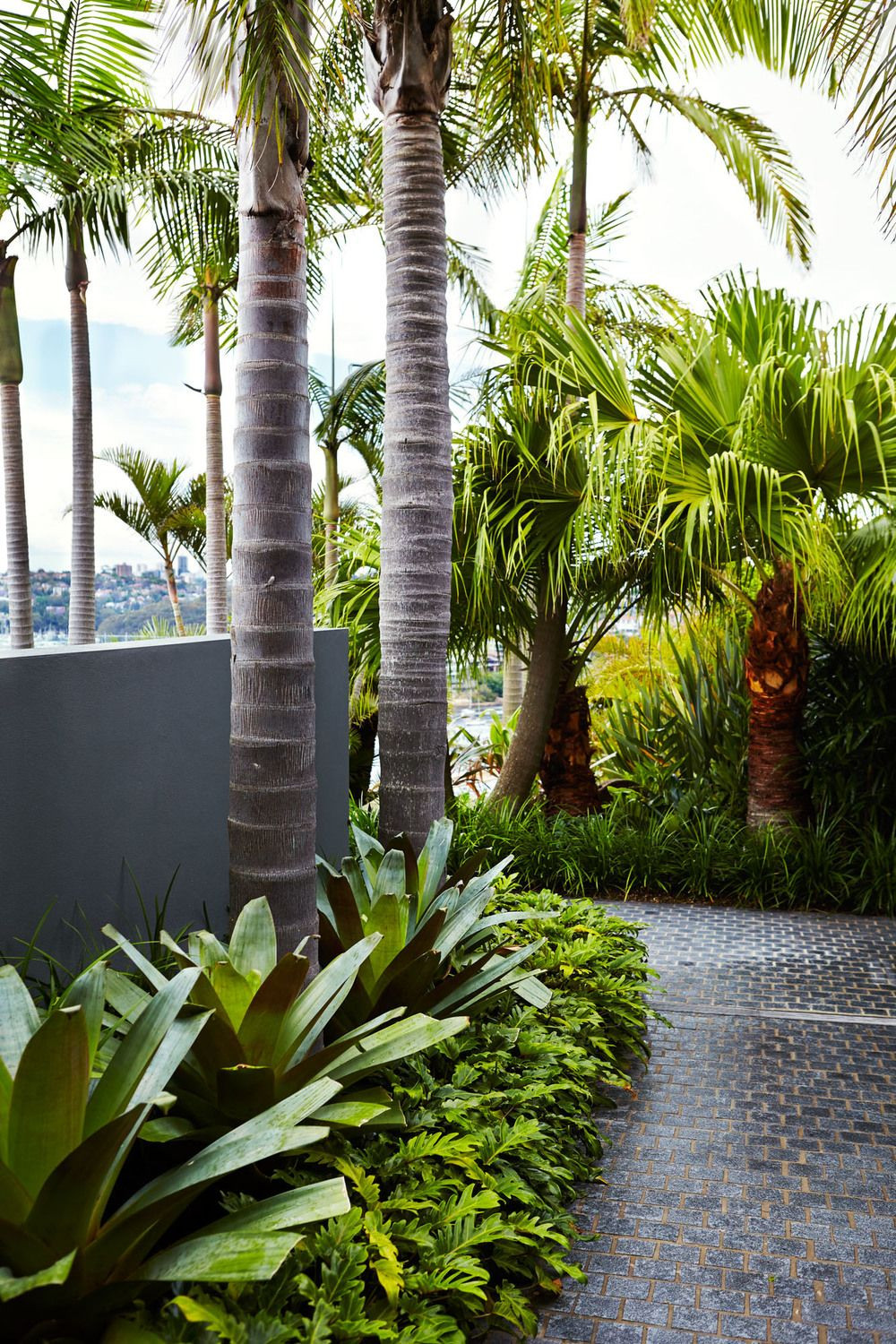 Outdoor Landscape Tropical
 Sydney Tropical Garden Design Outdoor Establishments