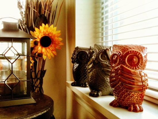 Owl Living Room Decor
 50 Owl Decorating Ideas For Your Home