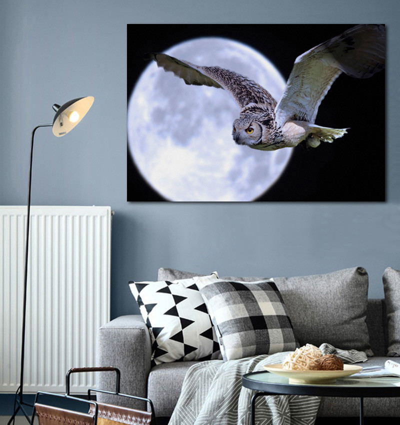 Owl Living Room Decor
 moon night owl bird predator wallpapers KC912 Living room
