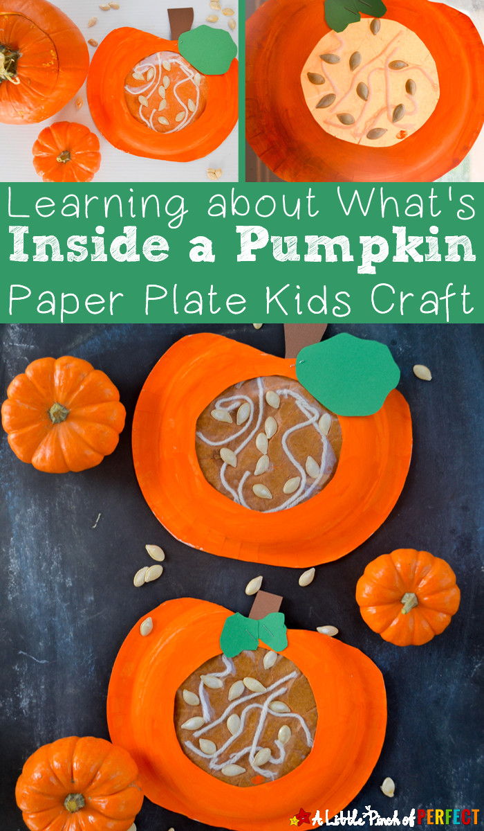 Prek Halloween Crafts
 Learning about what s Inside a Pumpkin Paper Plate Kids