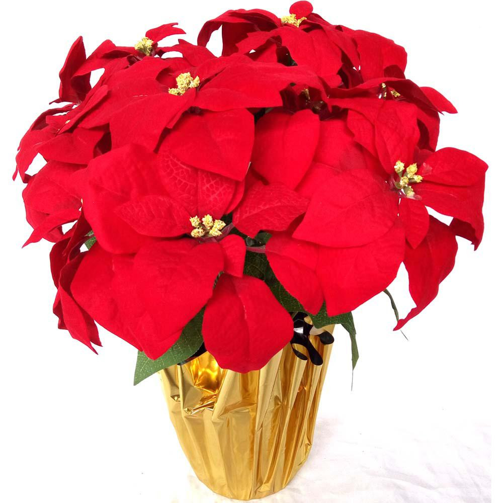 Red Christmas Flower Names
 Home Accents Holiday 21 in Silk Poinsettia Arrangement