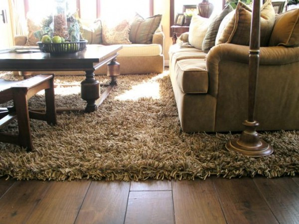 Shag Rugs For Living Room
 Add Luxury and fort To Your Living Room With Shag Rugs