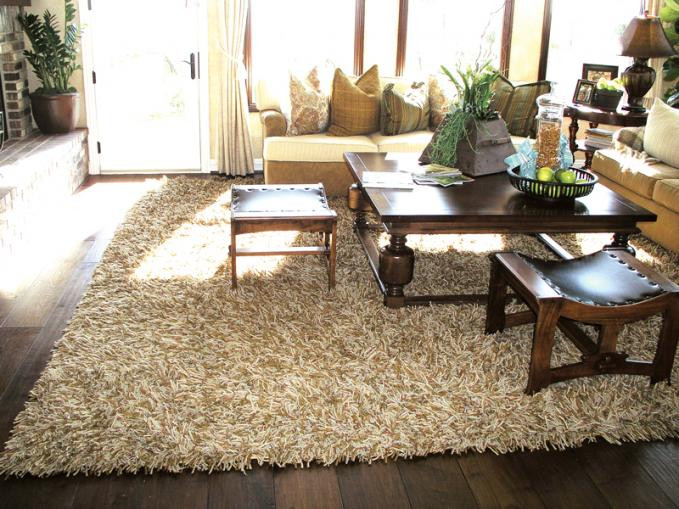 Shag Rugs For Living Room
 Merino Borealis Living Room
